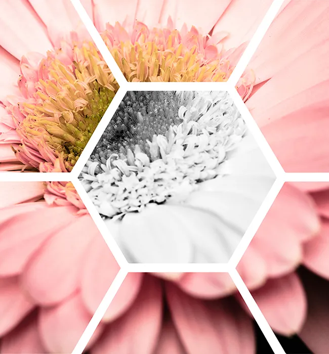 molecular sieve supplier